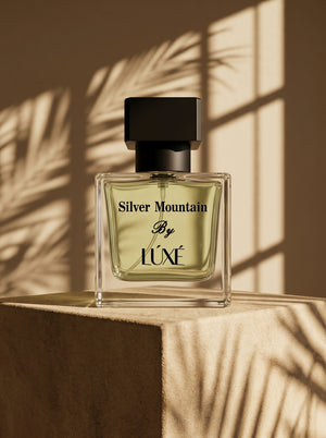 Silver Mountain