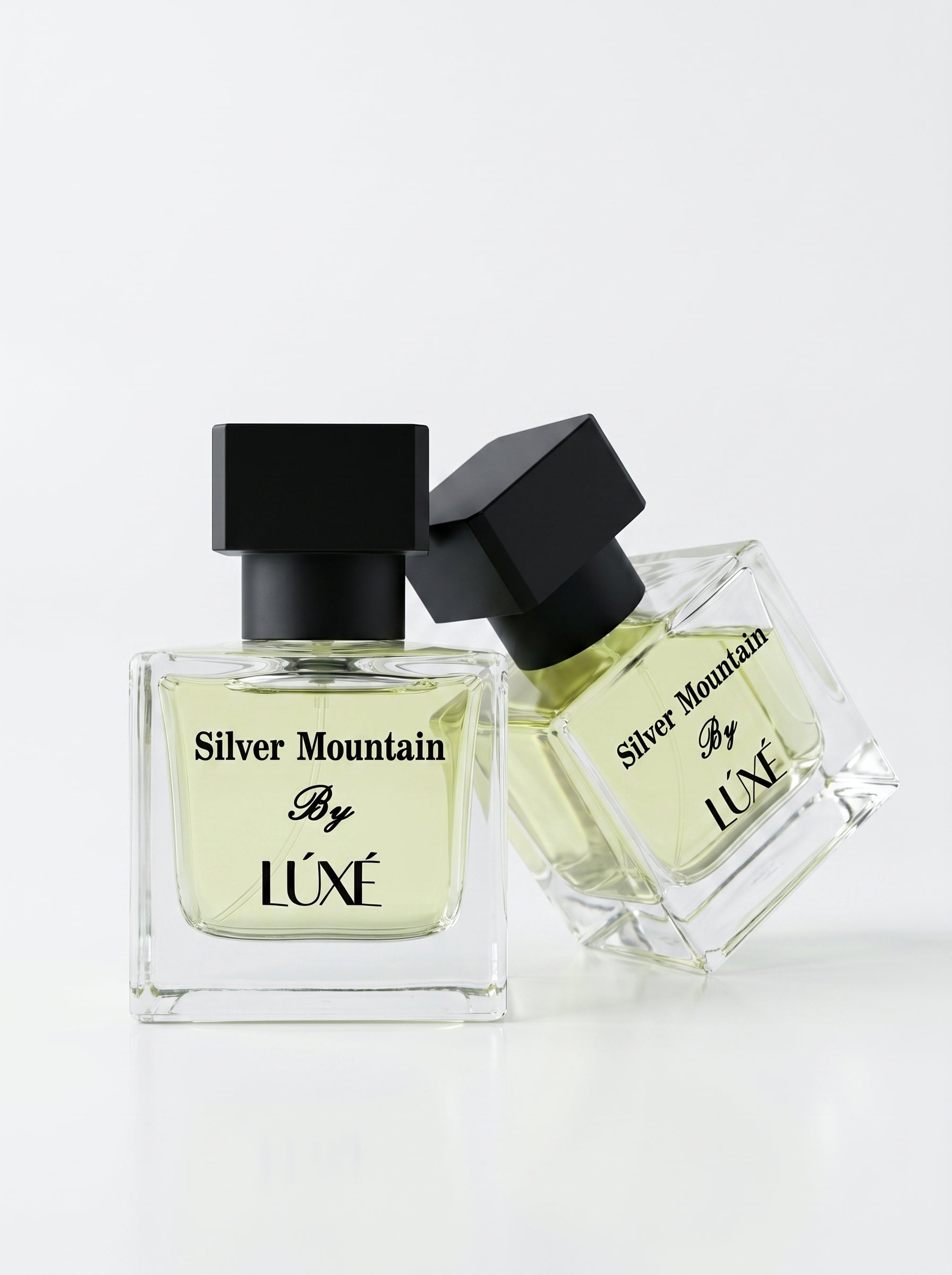 Silver Mountain