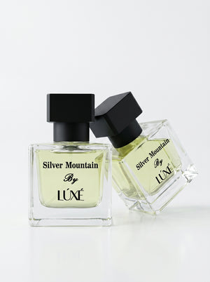 Silver Mountain